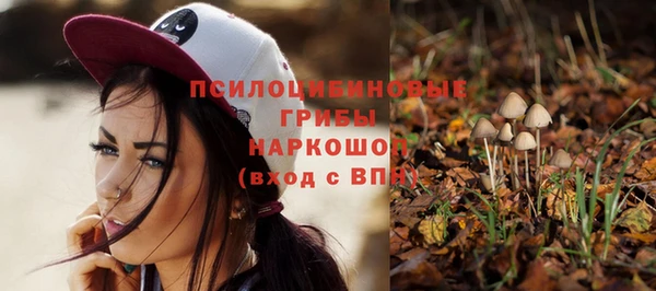 стаф Протвино