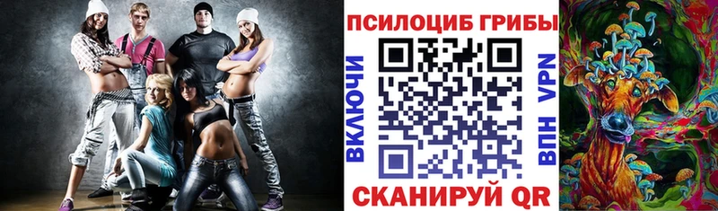 Купить где  Ступино  Галлюциногенные грибы Psilocybine cubensis 